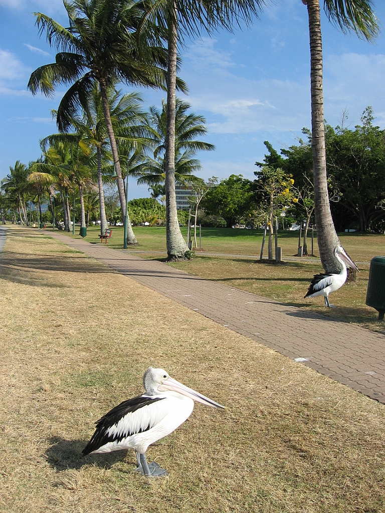 203 Cairns Esplanade.jpg